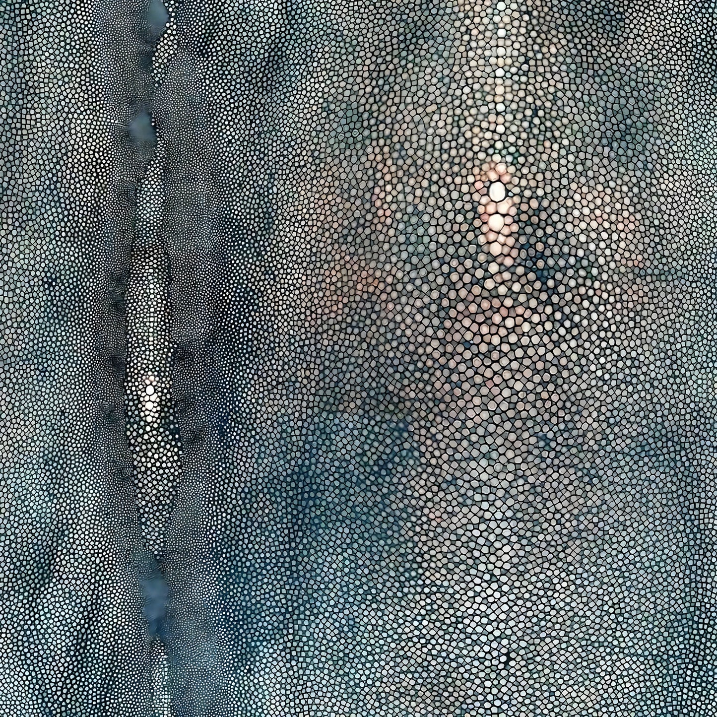 Barnical Diving Mural