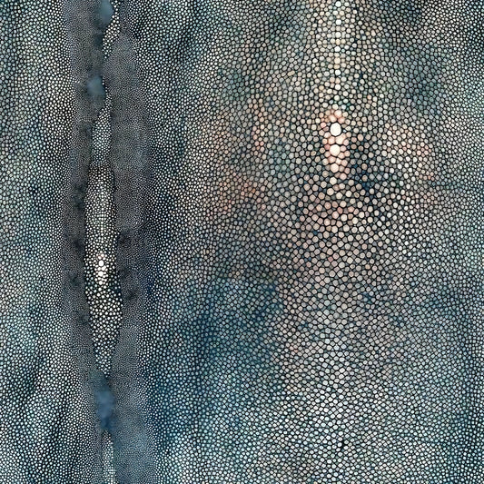 Barnical Diving Mural