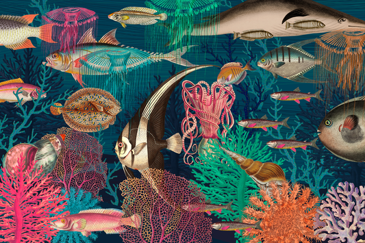 Dazzling Sea Life Mural