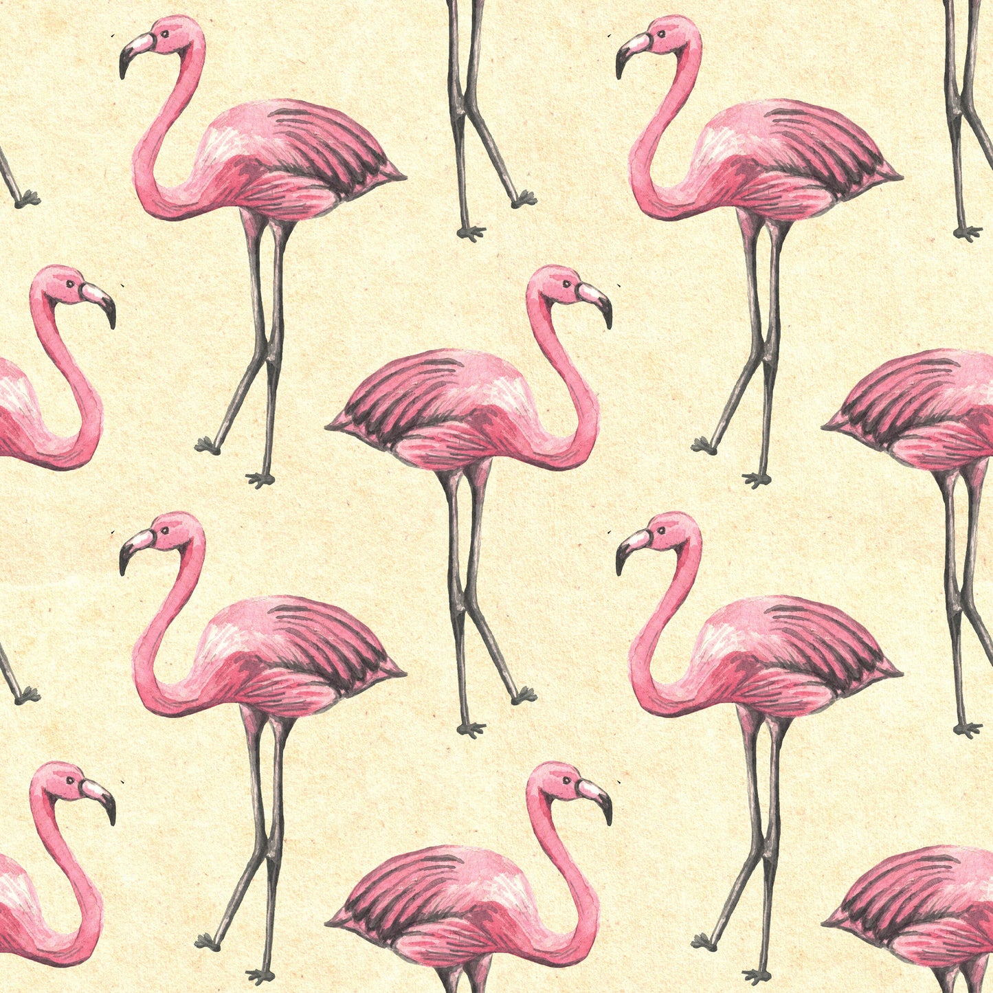 Elegant Roseus Wallpaper