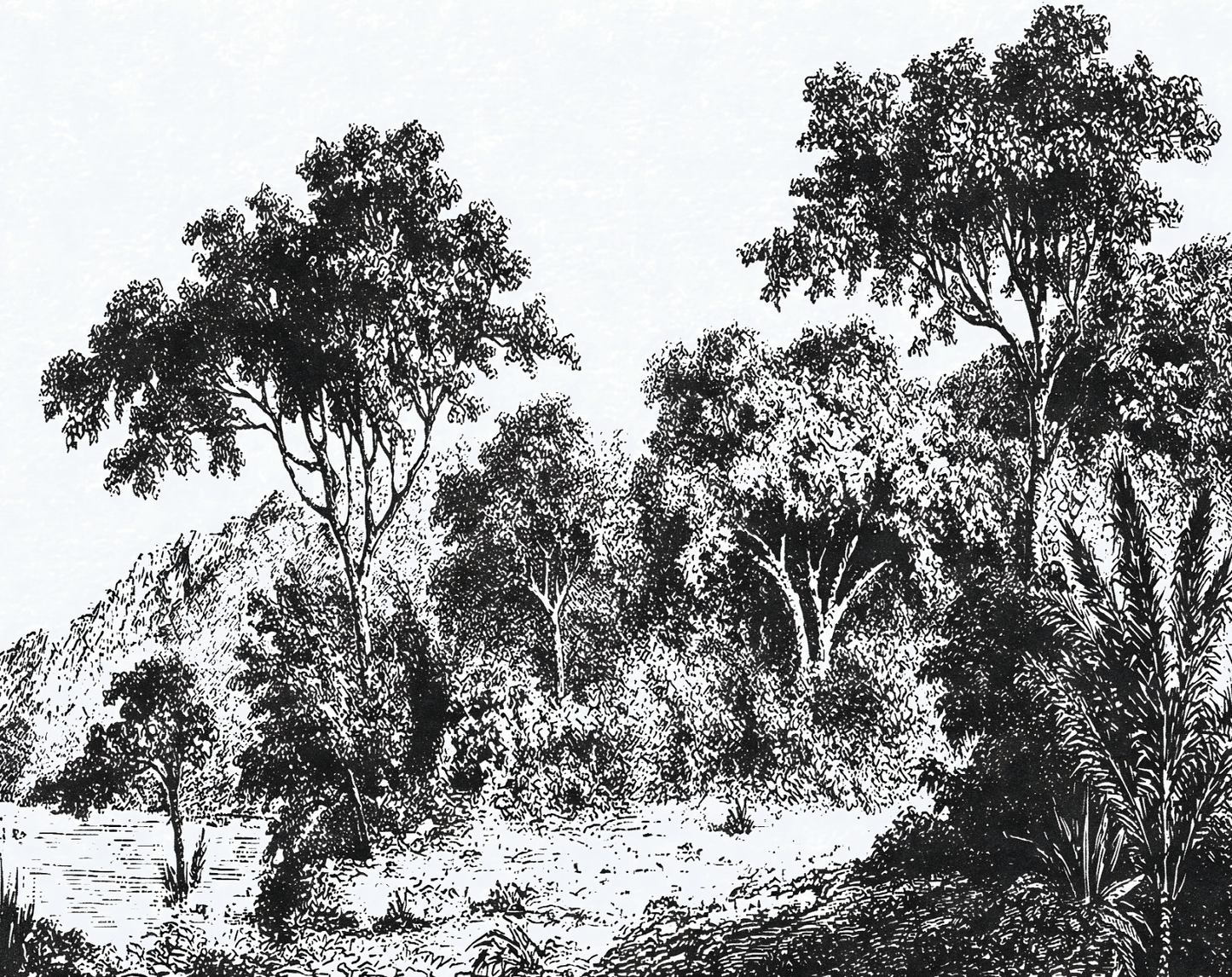 Iranja Forest Mural