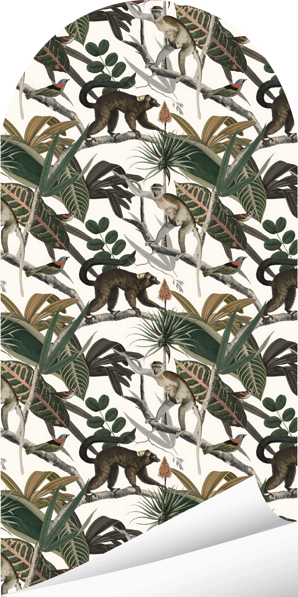 Mandrill Simians Arch