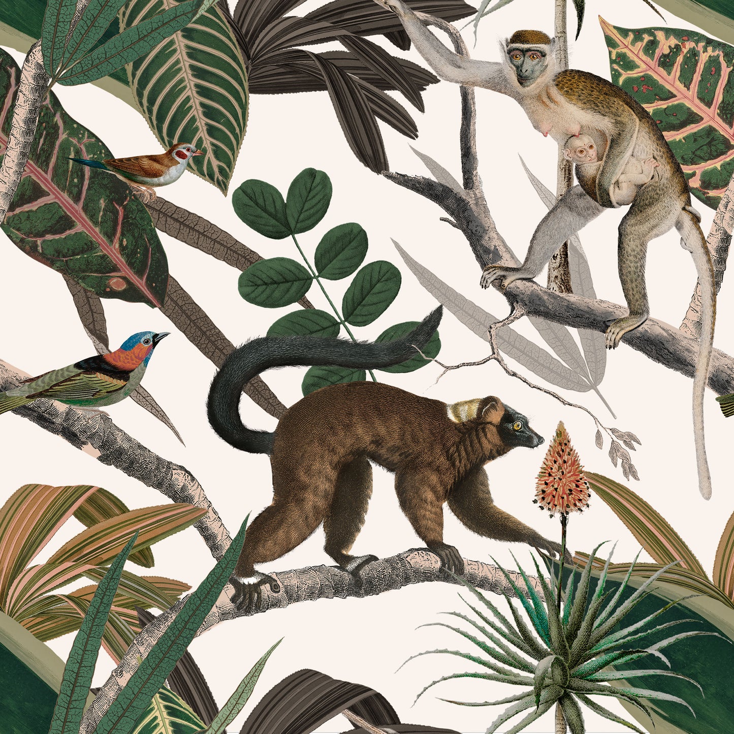 Mandrill Simians Wallpaper