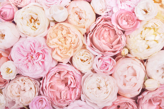 Rose Corsage Mural