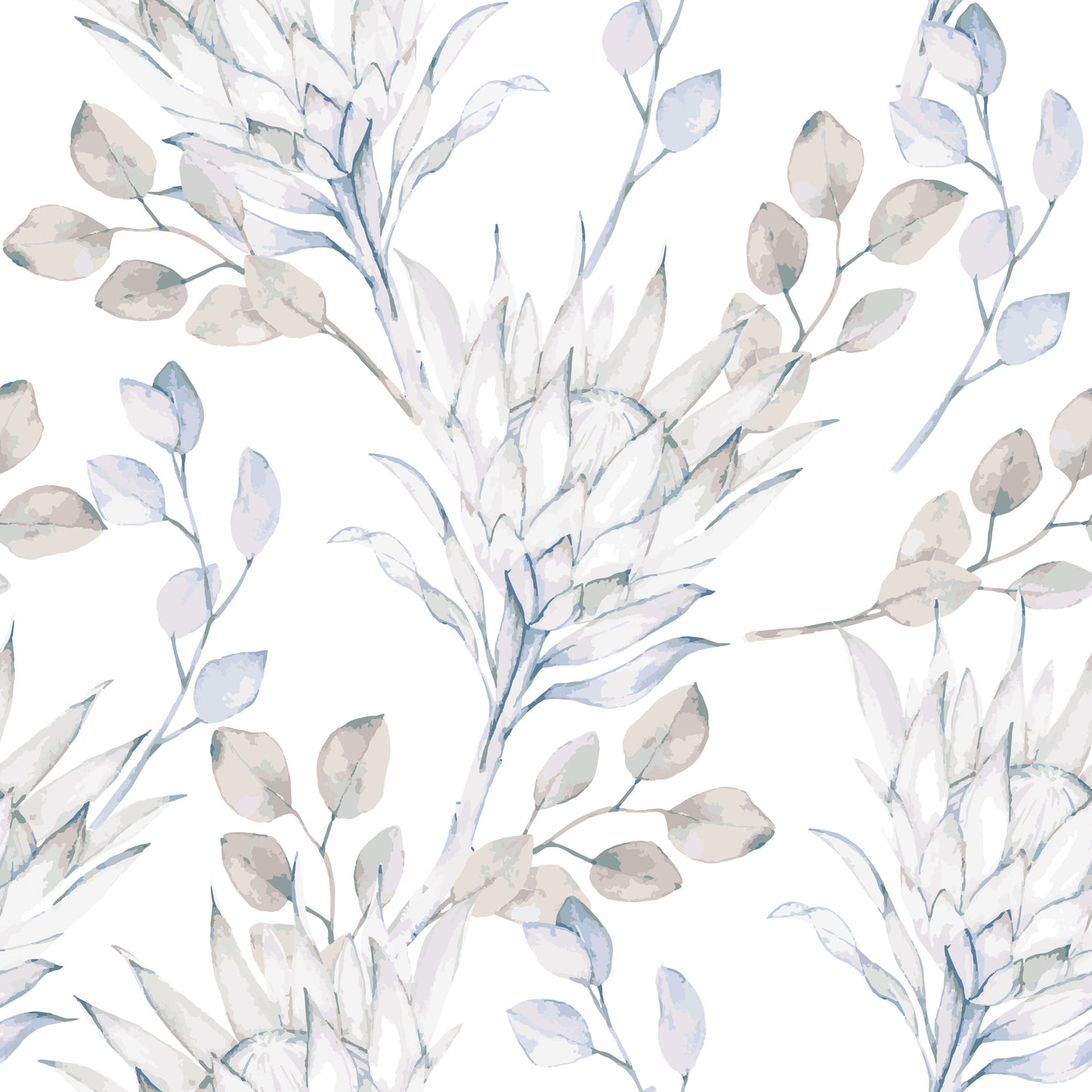 Watercolour Protea Wallpaper