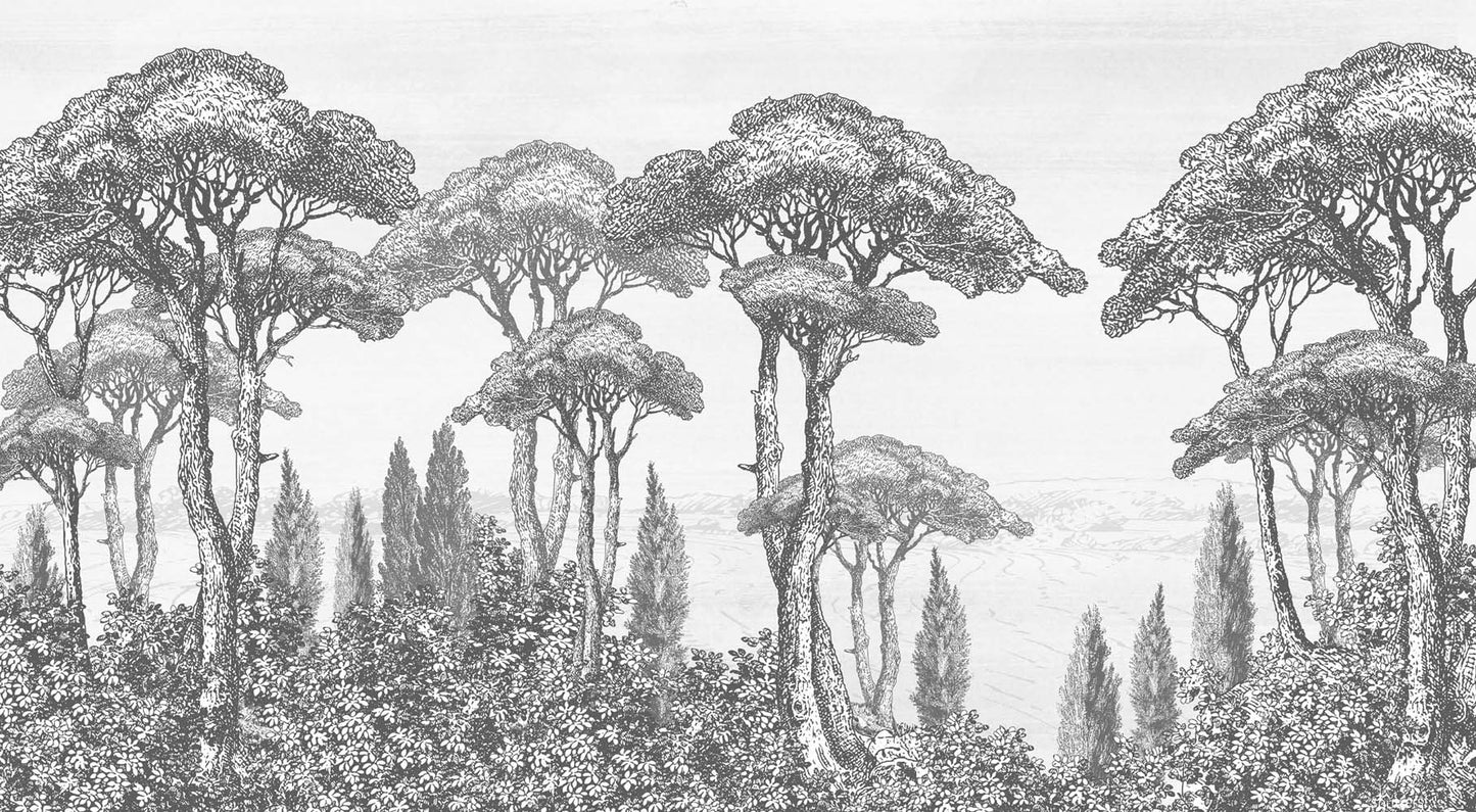 de Soarano Canopy Mural