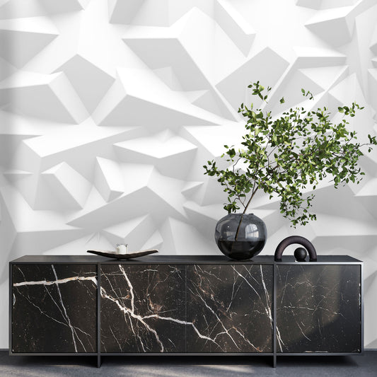 3D Plexi Wall Mural