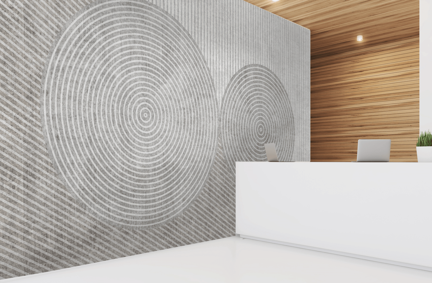Concentric Circles Mural