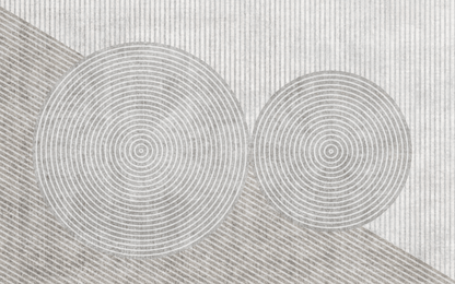 Concentric Circles Mural