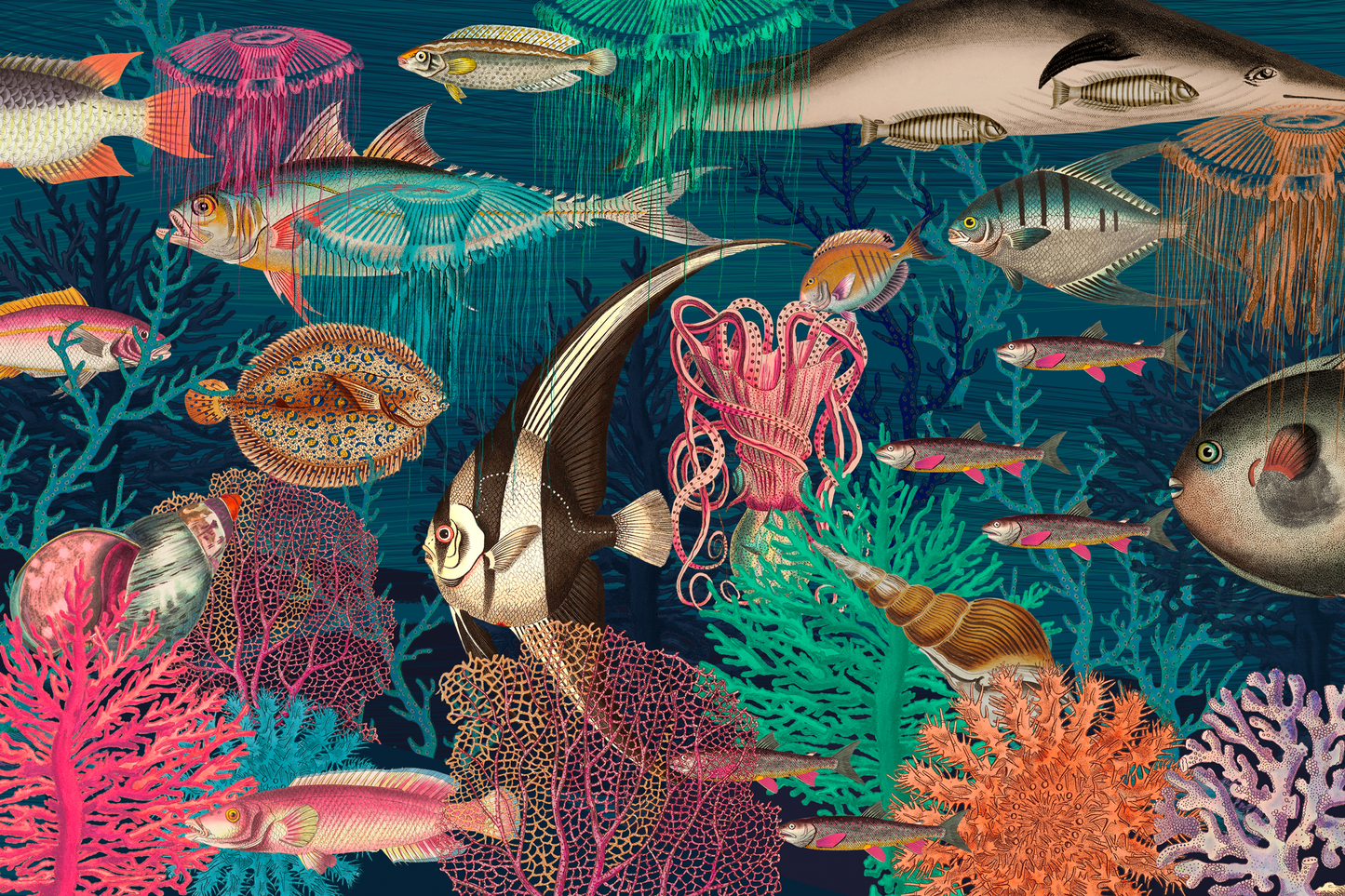 Dazzling Sea Life Mural
