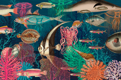 Dazzling Sea Life Mural