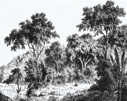 Iranja Forest Mural