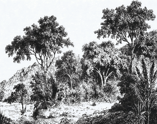 Iranja Forest Mural