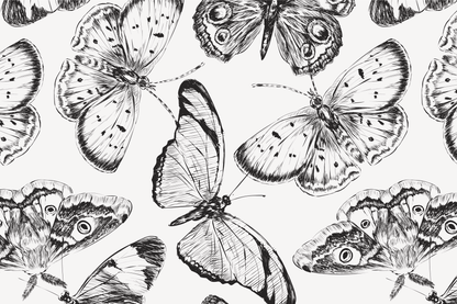 Papillon Wings Mural